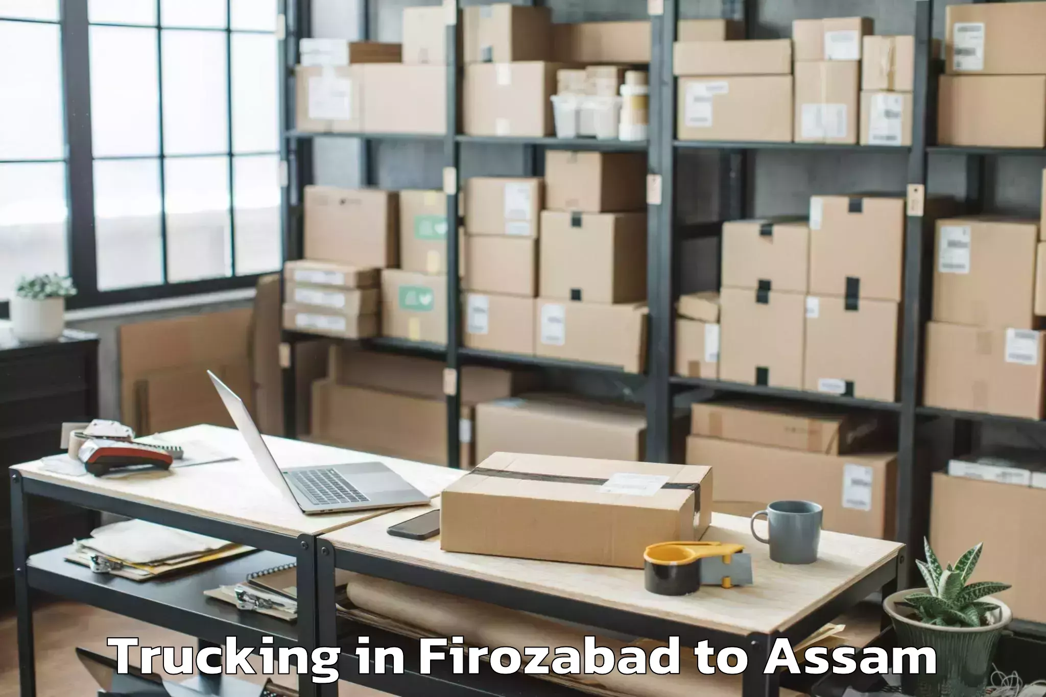 Professional Firozabad to Dhekiajuli Pt Trucking